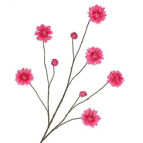 Dahlia branch Fuchsia