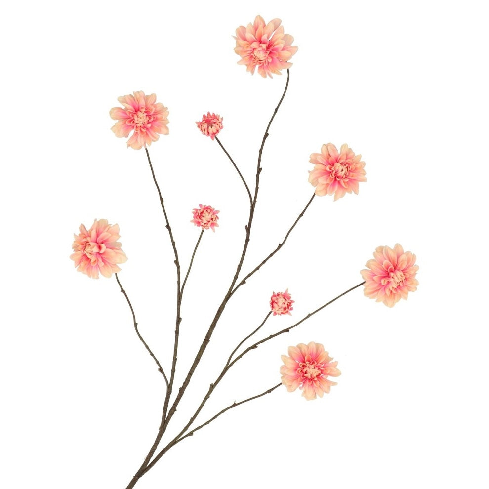 Dahlia branch Peach