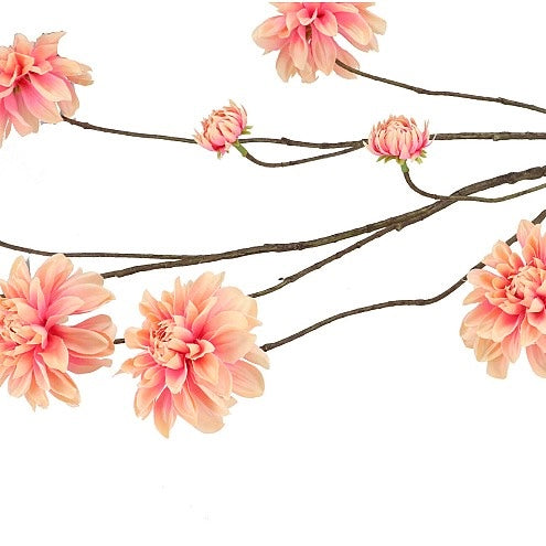 Dahlia branch Peach