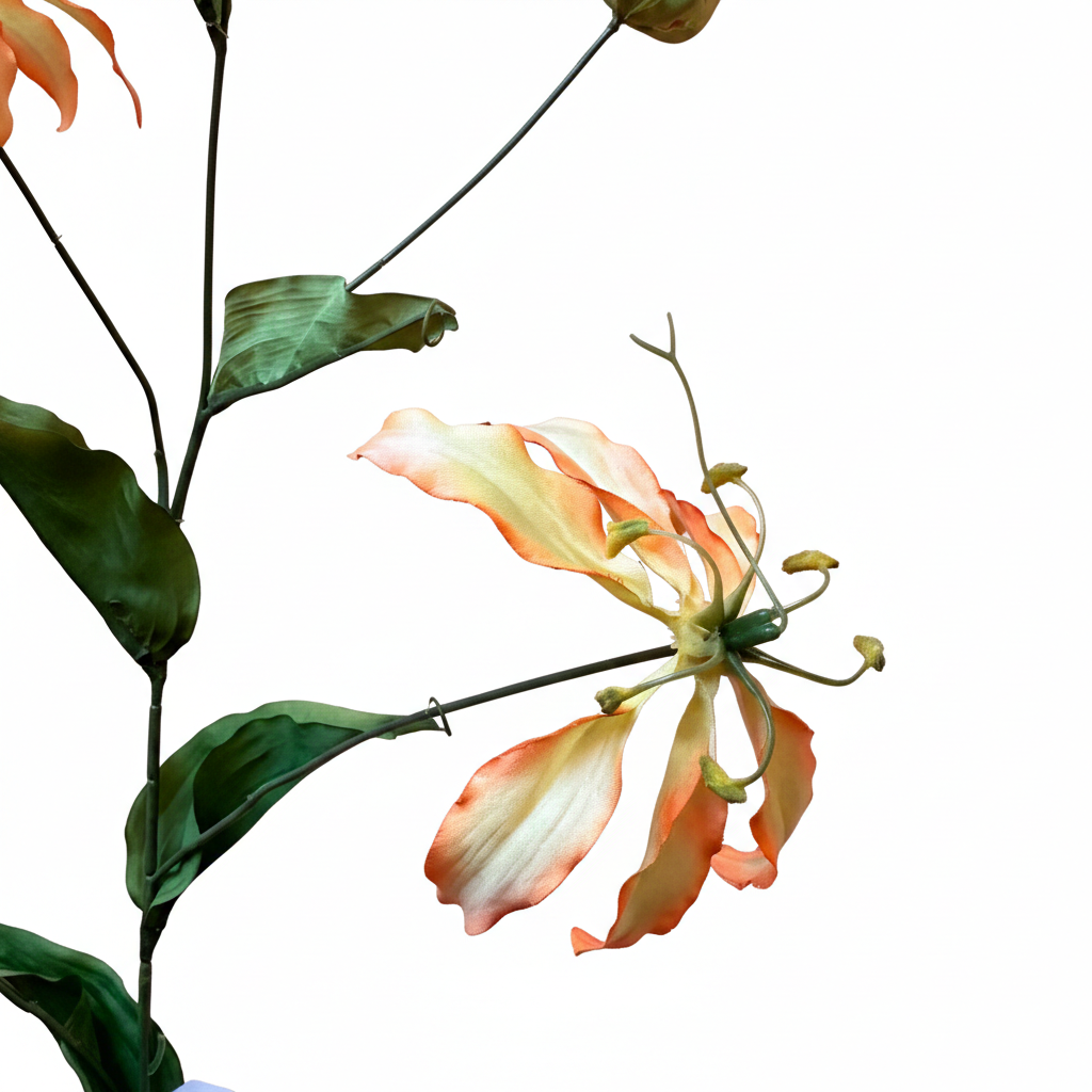 Zijdenbloem Gloriosa