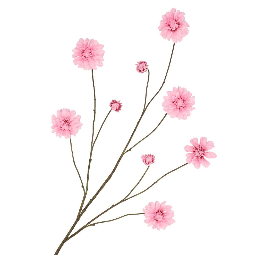 Dahlia branch Pink
