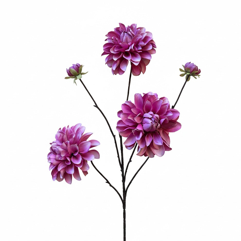 Zijdenbloem Dahlia purper