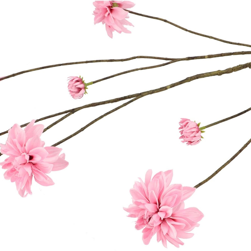Dahlia branch Pink