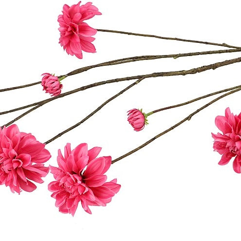 Dahlia branch Fuchsia