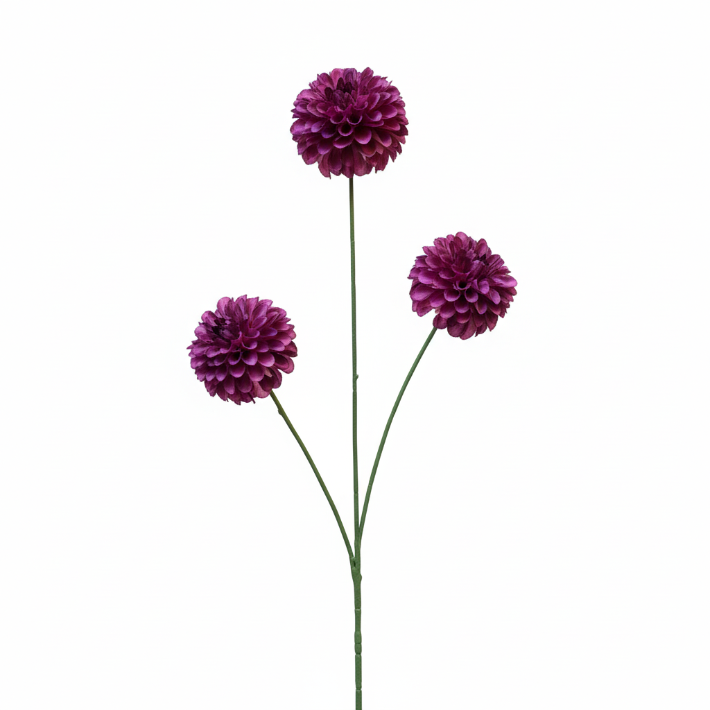 Zijdenbloem Pompom